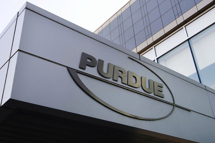 Purdue Pharma to stay in business as bankruptcy unfolds