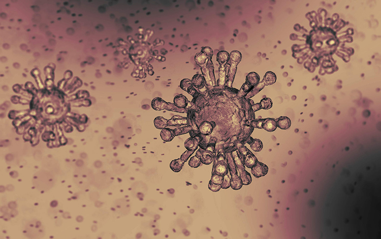 WI lawmakers quiz health leaders about coronavirus