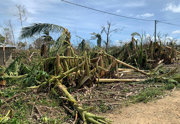 ONU libera 2,5 mdd para ayudar a Vanuatu tras paso de ciclón
